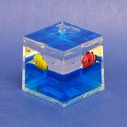 Paperweight Cube Fish